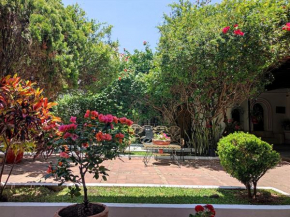 Best Location in Oaxaca - Beautiful Garden